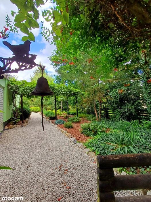 Okazja-Dwa Domki-Linia Brzegowa Jeziora-Puszcza Notecka -WZ rozbudowa