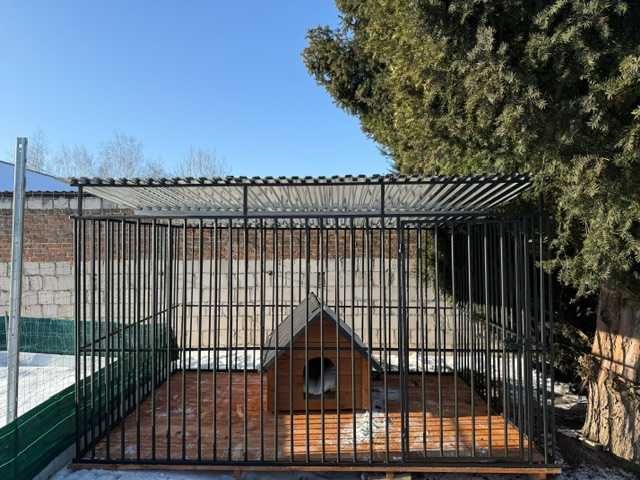 Kojec dla psa – solidny i wytrzymały