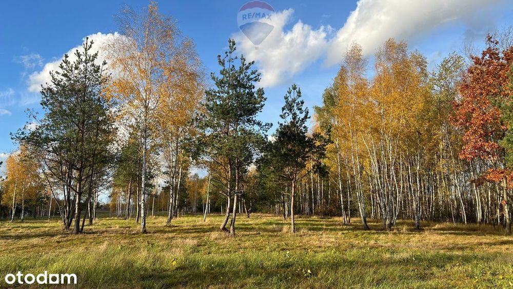 Działka budowlana nr 60/22 Józefów gmina Pniewy