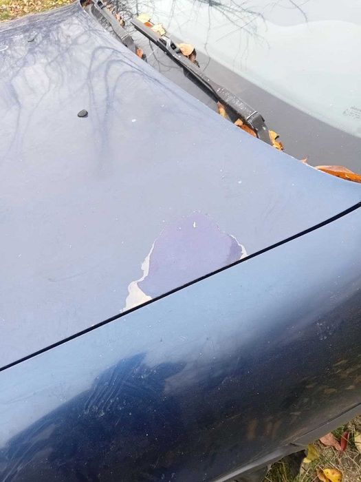 Опель Вектра. Вектра.