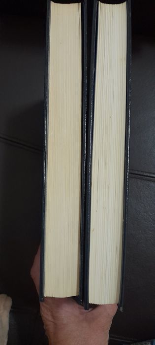 Moderno Dicionário da Língua portuguesa
