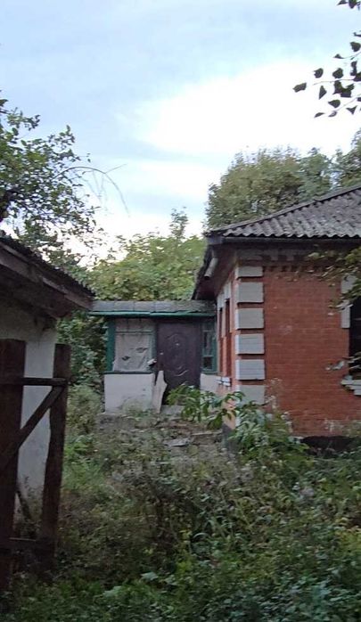 Продам ділянку в Брацлаве 9052
