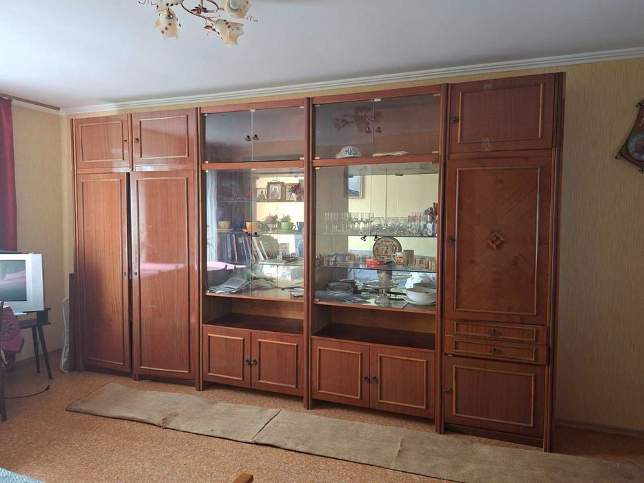 (3) Продам будинок Літин в с. Рибаче 0756