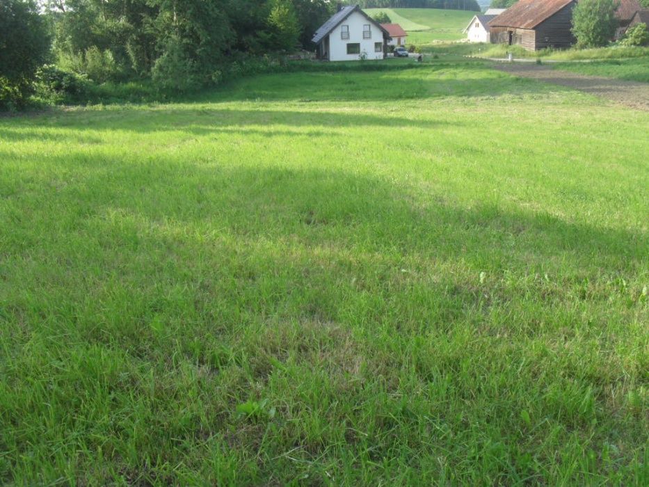 Sprzedam działkę budowlaną 12a.Aktualne WZ(Wola Muntowska) Wola