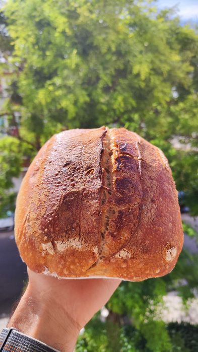 Venda/Troca BIO Pão Artesanal Massa Mãe