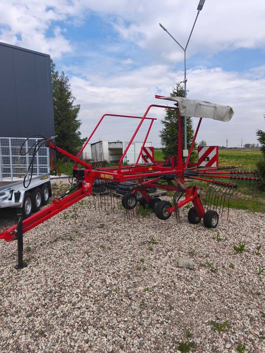 Lely Hibiscus 485 P