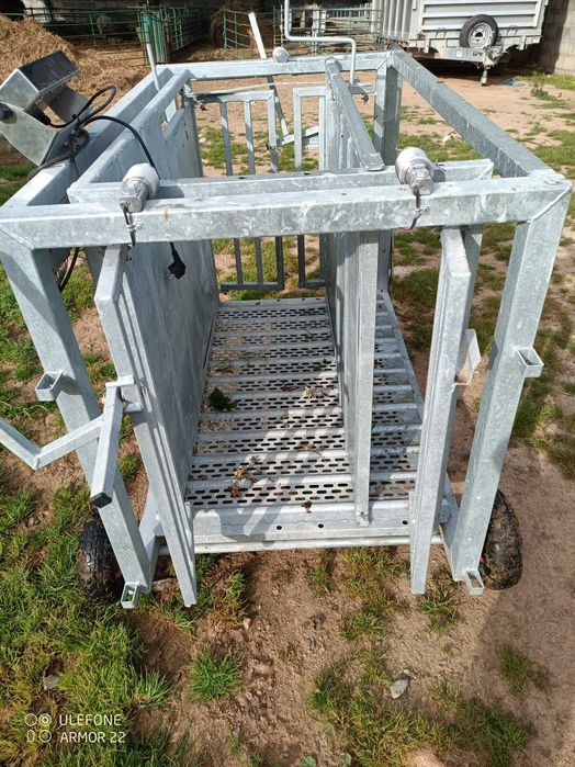 Balança móvel analógica para ovinos / caprinos