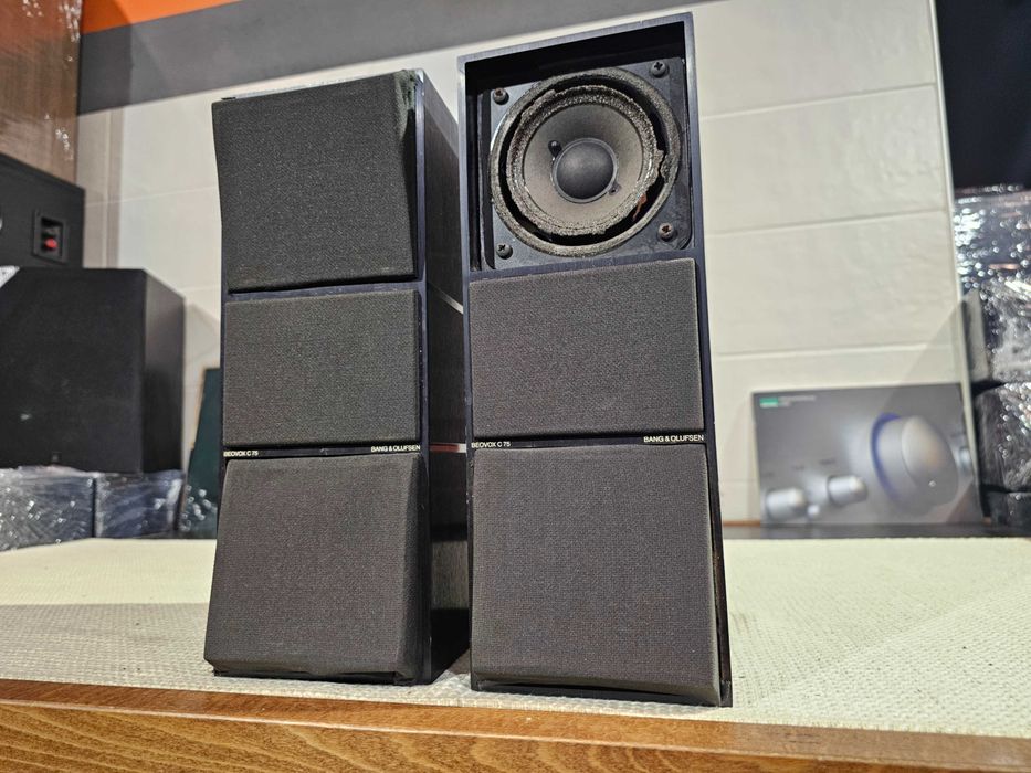 Металева акустика Bang & Olufsen BeoVox C75