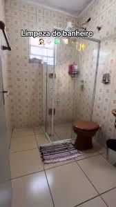 Limpeza profissional