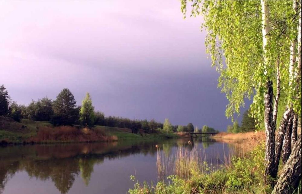 142 сотки в СТ біля Київського водосховища, м. Вишгород