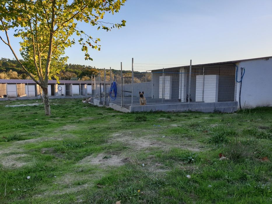 Hotel Canino Quinta do Pêgas