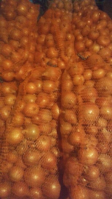 Cebula żółta obierana