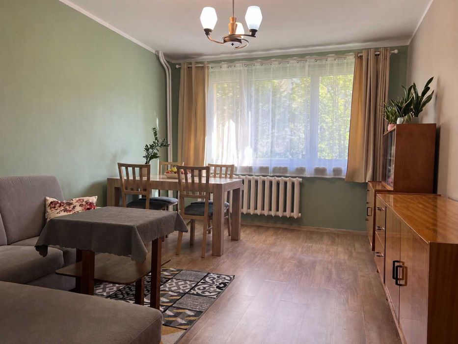 PRZYTULNE MIESZKANIE wynajem 2 pokoje komórka umeblowane 43 m. Katowice Giszowiec widok na zieleń