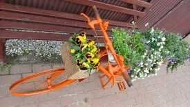 Piękny Kwietnik - rower w kolorze pomarańczowym