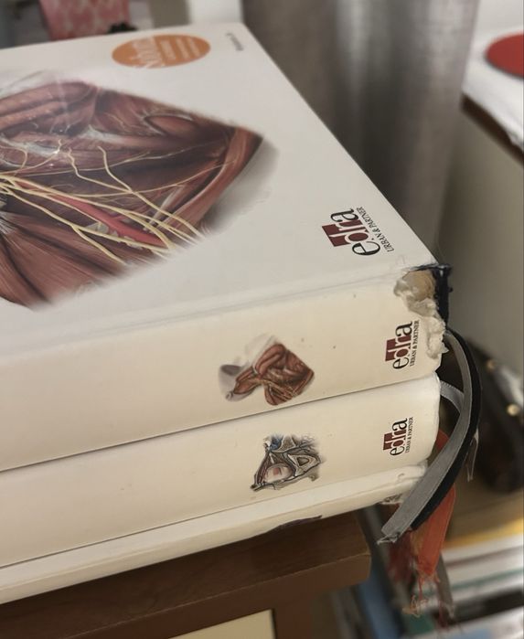 Sobotta Atlas Anatomii Człowieka komplet 3 tomy wyd. 24 Edra medycyna