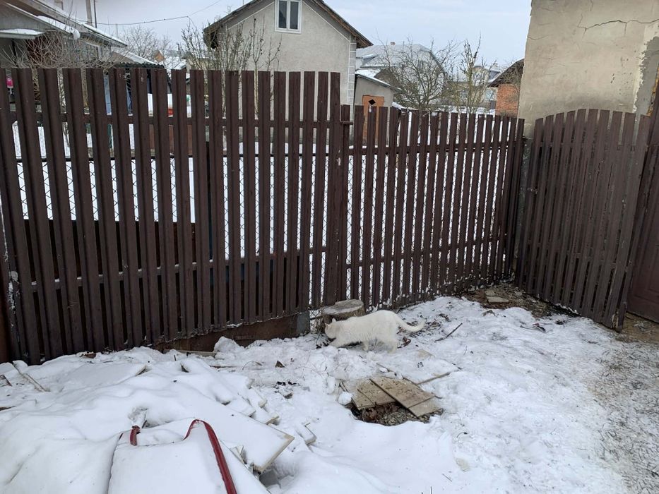 Брама з хфірткою