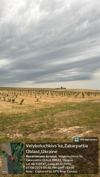 Агроном, відкритий до цікавих проектів.