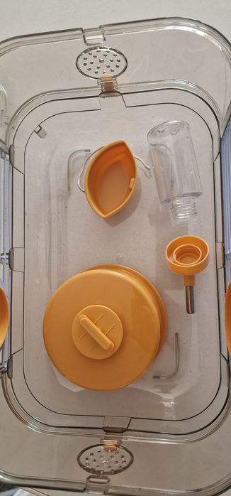 Gaiola hamster rody3