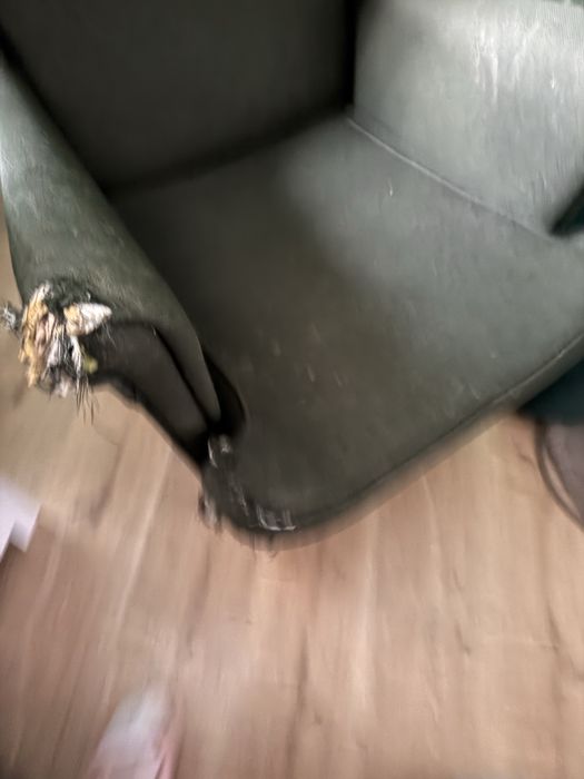 Uszak Fotel Polecam