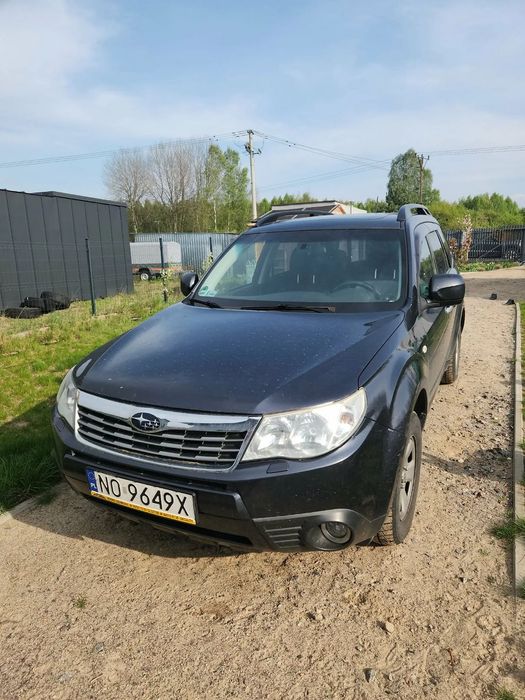 Subaru Forester Subaru Forester