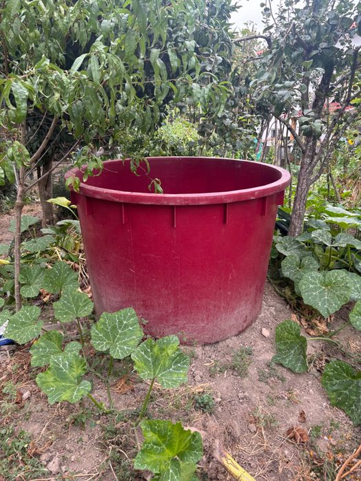 Dorna Vindima de 1000 Litros