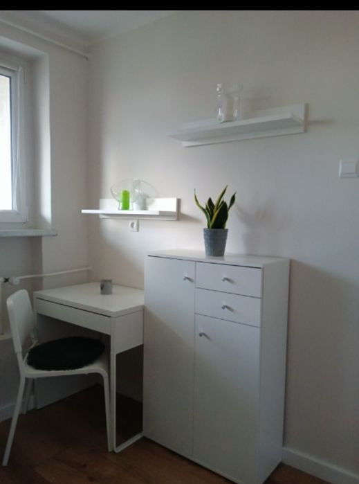 Pokój w centrum Opola 950zł