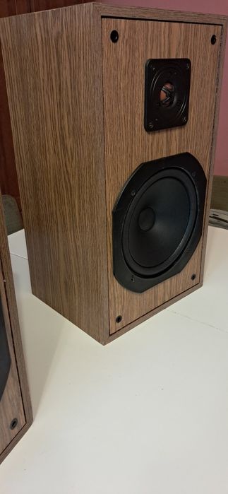 Tonsil ZG40+ po pełnej regeneracji i modyfikacji. Vintage Audio POLECA