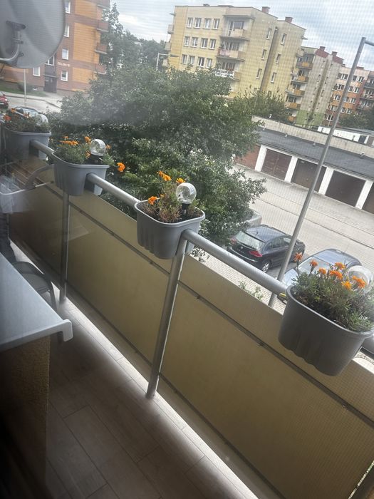 Zdjęcie 8