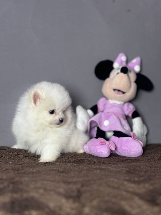 Хлопчик тип ведмедика.