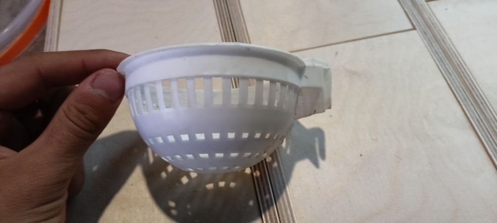 Vendo ninho de canarios