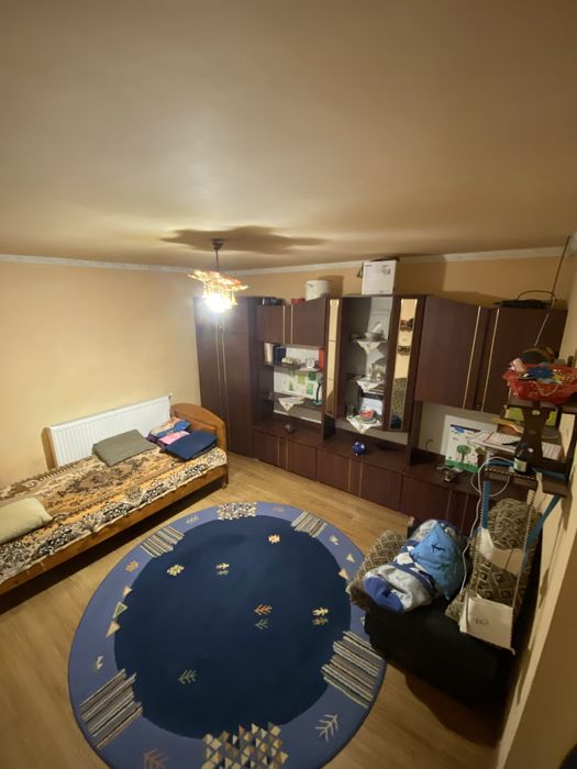 Продам будинок у ппредмісті Берегова