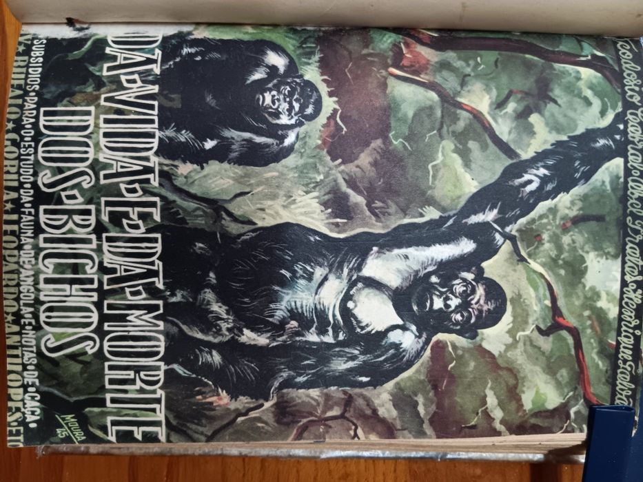 "A Vida e da Morte dos Bichos"