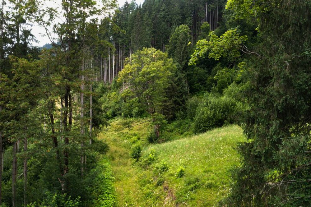 ЕКСКЛЮЗИВНА земельна ділянка площею 300 сот.