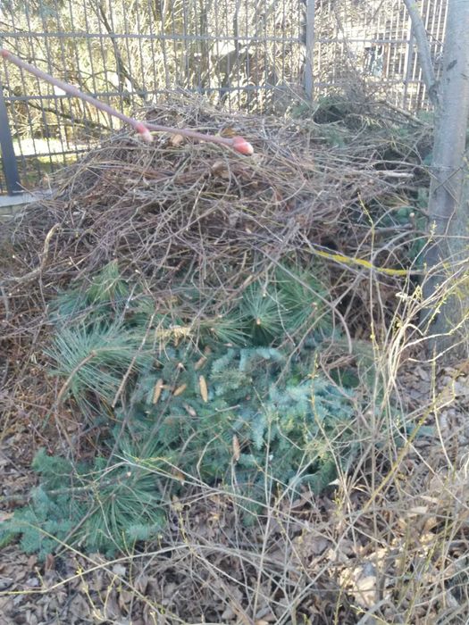 Вивіз сміття будівельного, побутового, хламу.