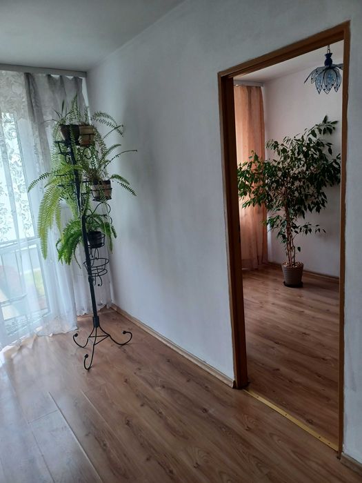 Mieszkanie w centrum  1 piętro