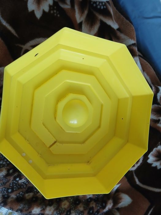 Sprzedam tacę do inkubatora cleo 5