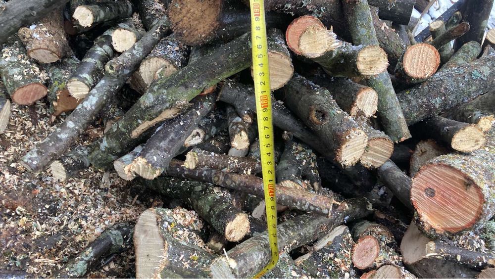 Дрова від 0,1м3 до 10м3 сухі