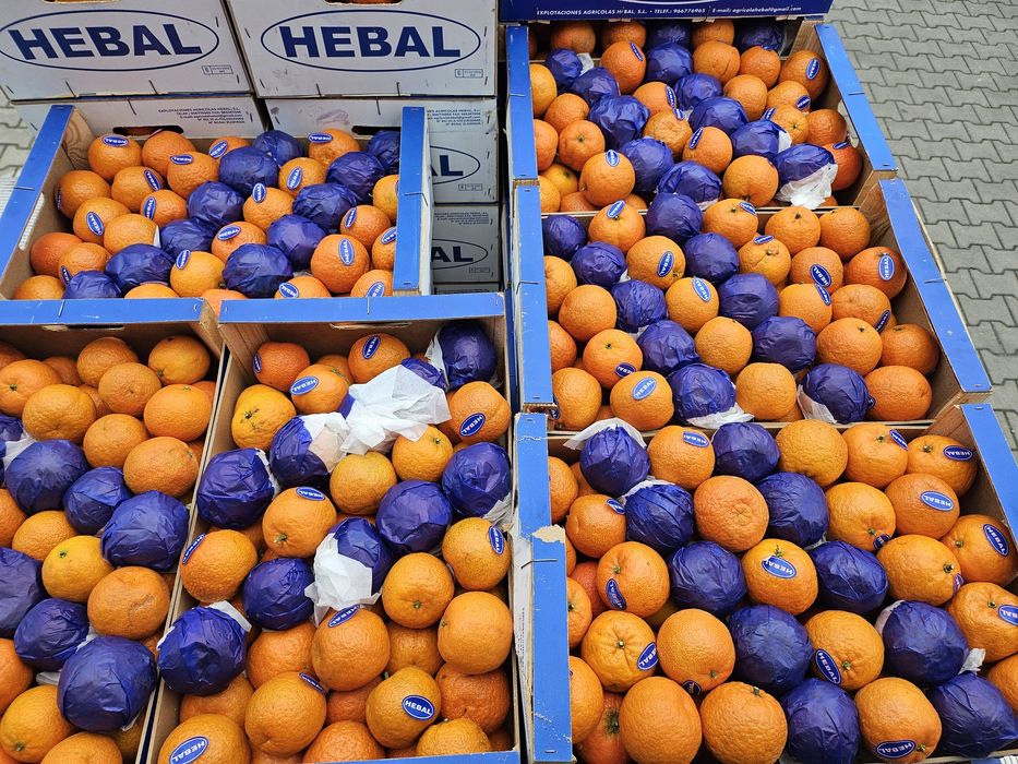 Mandarynka kraj pochodzenia Włochy Hiszpania