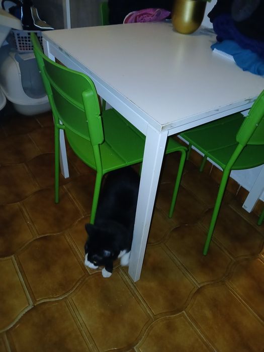 Mesa branca meltorp quadrada