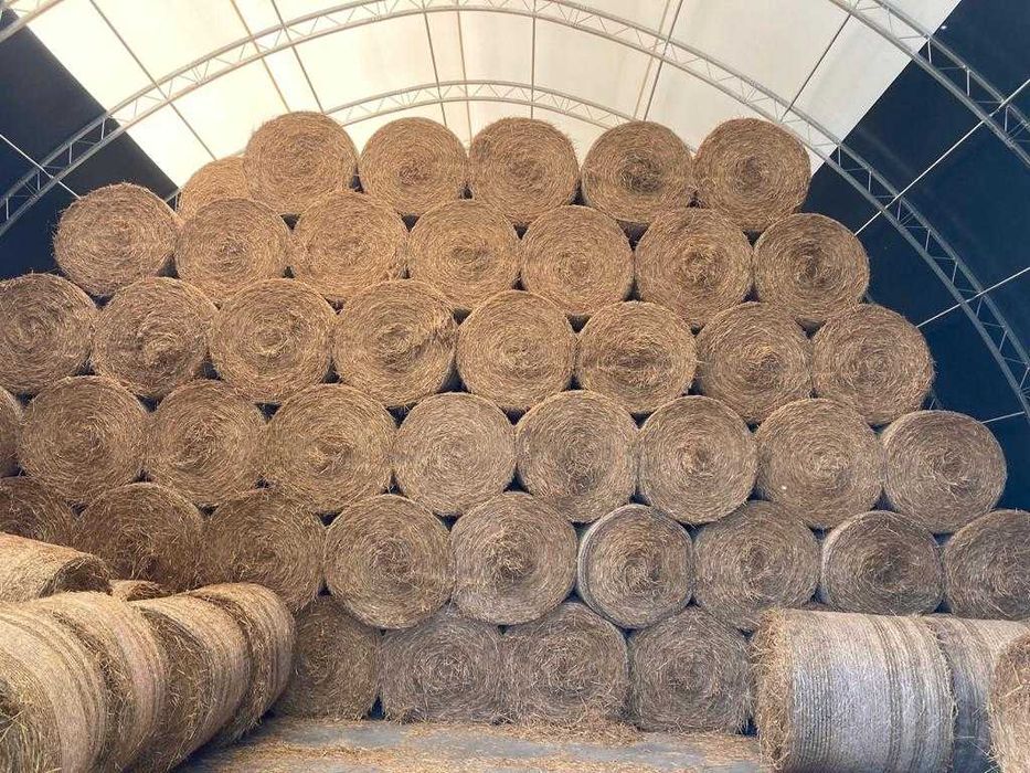 SKAVSKA,Hale na Bale , Tania Obora, Hale rolnicze, Hale dla zwierząt