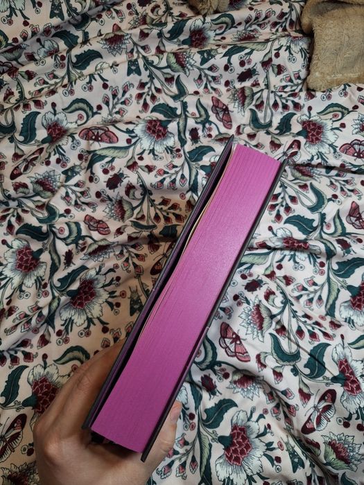 М'ясник та Чорна Пташка