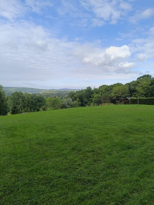 Rekreacja, noclegi, domek letniskowy, leśne zacisze, nad stawem.