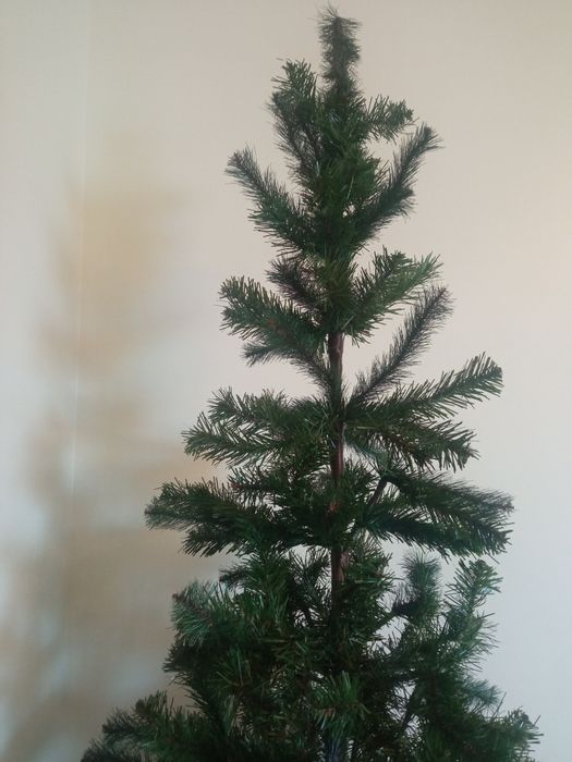 Árvore de Natal.  2.20