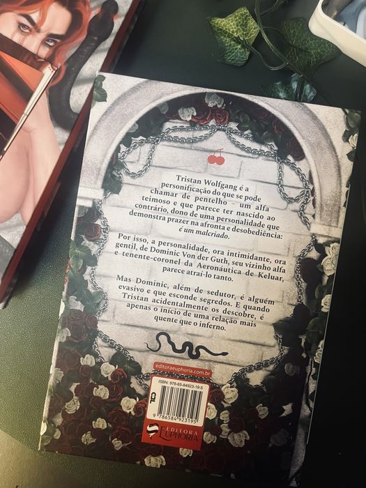 Livro: Incandecente vol. 1 e 2