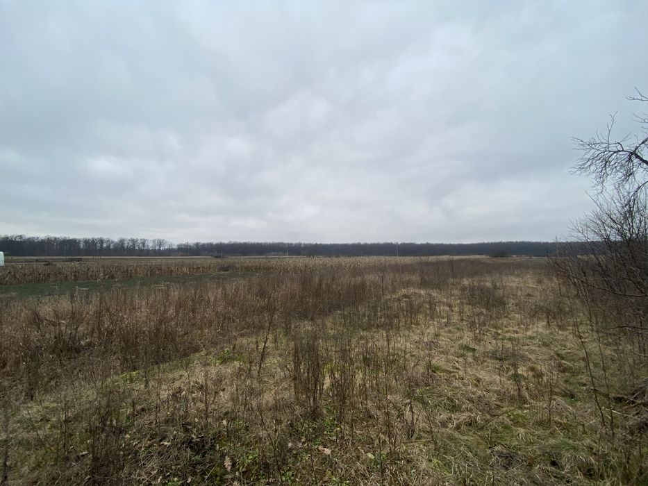 Продам будинок у передмісті Берегова с. Гут