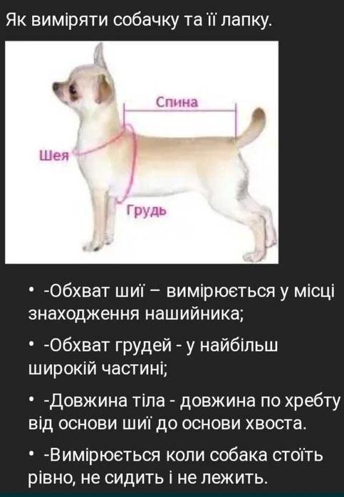 Одяг для собак та котів