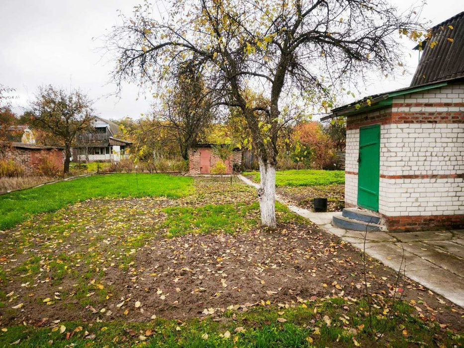 Гарна дача з доглянутою ділянкою 5 соток. Біля Чернігова с.Рижики (SP)