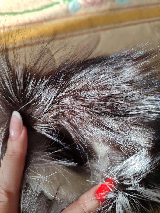 Продам зимні уги