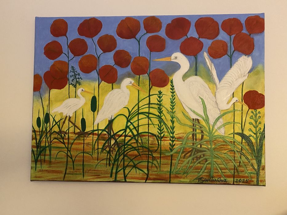 As garças foram passear