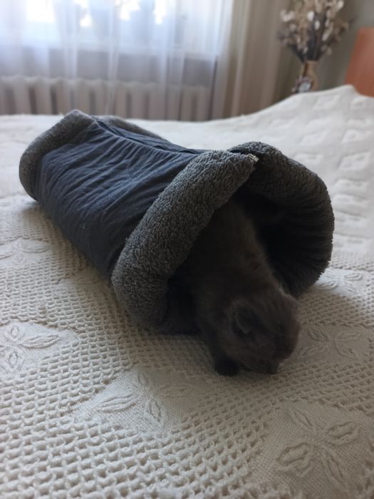 Лежанка, печера для котів